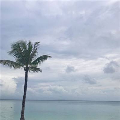 一统江山手游下载